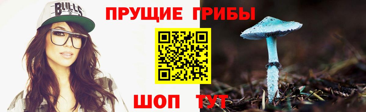 Галлюциногенные грибы Psilocybine cubensis Янаул